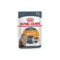 Ração Húmida para Gato Intense Beauty 85gr Royal Canin