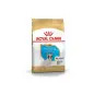 Ração Seca para Bulldog Francês Puppy 10kg Royal Canin