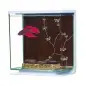 Aquário para Bettas Contempo Kit 3lt Marina