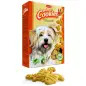 Biscoitos Crocantes com Leite para Cão 700gr Padovan