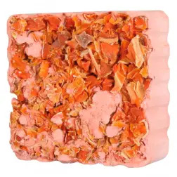 Bloco Mineral com Cenoura para Roedores 6011 Trixie Trixie