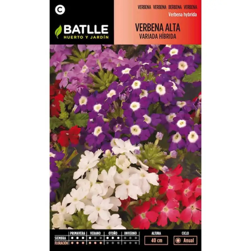 Sementes de Petúnia Verbena Alta Variada Germisem