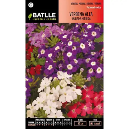 Sementes de Petúnia Verbena Alta Variada Germisem Germisem