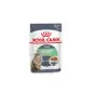 Ração Húmida para Gato Digestive Sensitive 85gr Royal Canin Ração Húmida para Gato Digestive Sensitive 85gr Royal Canin