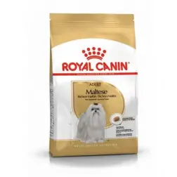 Ração Seca para Gato Maltese Adult 1,5Kg Royal Canin RoyalCanin