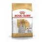 Ração Seca para Gato Maltese Adult 1,5Kg Royal Canin