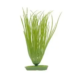 Planta Decorativa Hairgrass 12,5cm para Aquário Marina Marina