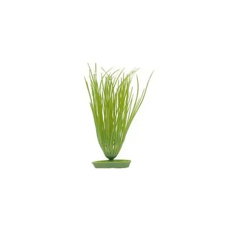 Planta Decorativa Hairgrass 12,5cm para Aquário Marina Marina