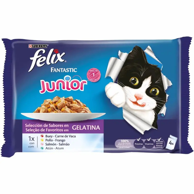 Ração Húmida para Gato Felix Agail Junior Gelatina  4x100gr Purina