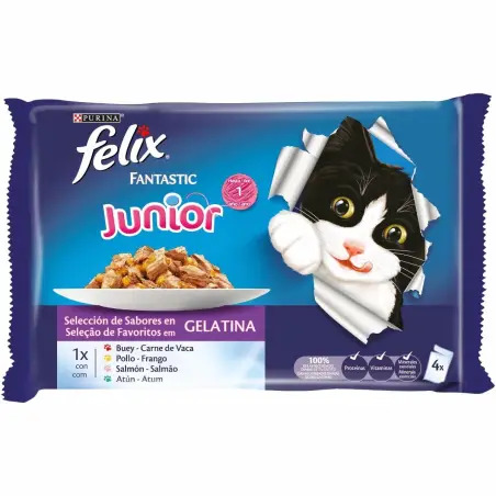 Ração Húmida para Gato Felix Agail Junior Gelatina  4x100gr Purina Purina