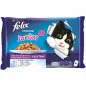 Ração Húmida para Gato Felix Agail Junior Gelatina  4x100gr Purina