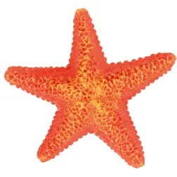 Decoração para Aquário Estrela do Mar 8866 Trixie Trixie