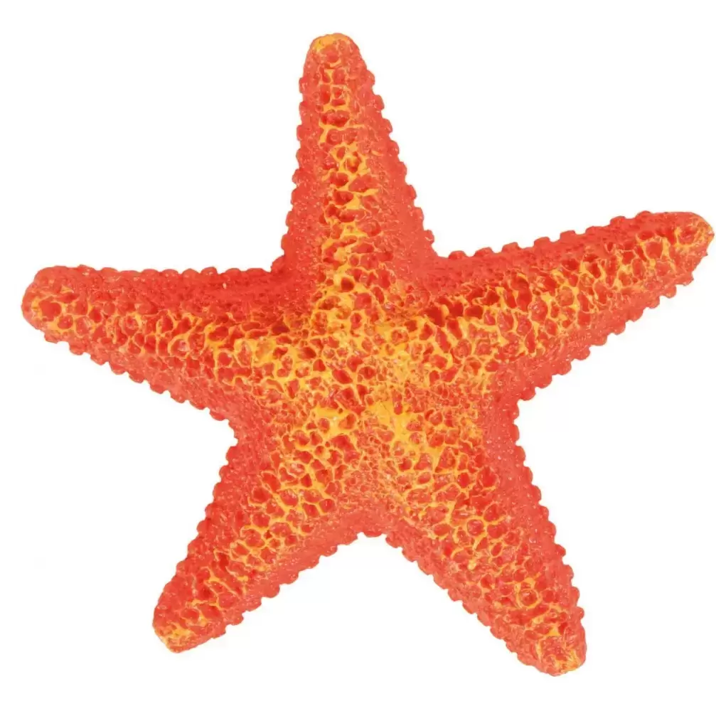 Decoração para Aquário Estrela do Mar 8866 Trixie