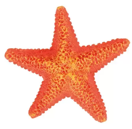 Decoração para Aquário Estrela do Mar 8866 Trixie Trixie