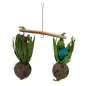 Brinquedo para Aves Cocos em Corda 58969 Trixie Brinquedo para Aves Cocos em Corda 58969 Trixie