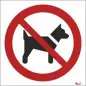 Placa Sinalizadora 10x10cm "Proíbido Animais" Valpec