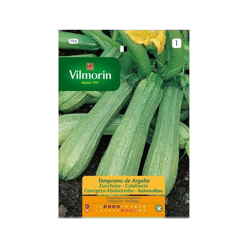 Sementes de Courgettes Verde Milão Casa Cesar Santos