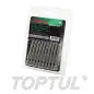 Jogo de 10 Bits Phillips 1/4" PH3 FSIA0803G Toptul