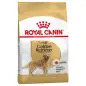 Ração Seca para Golden Retriever Adult 12Kg Royal Canin