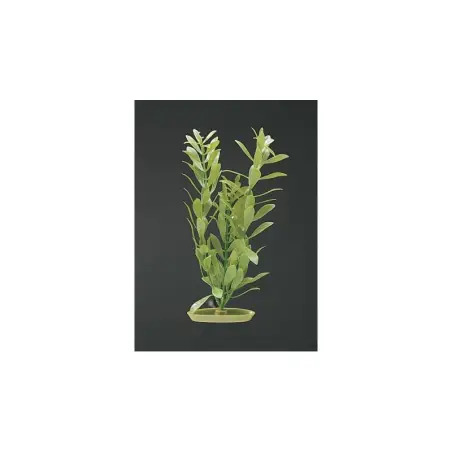 Planta Decorativa Higrophila 12,5cm para Aquário Marina Marina