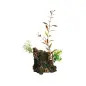 Decoração Média para Aquário/Terrário Tropizoo