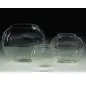 Globo Em Vidro S/ Gola 5 Lt emb. C/ 2 Diversas