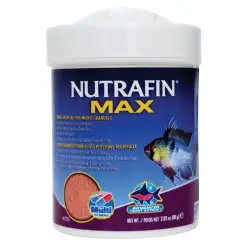 Granulado para Peixes Coloridos de Água Fria 40gr Nutrafin Nutrafin