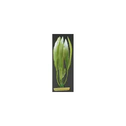 Planta Decorativa 20cm Amazon Sword para Aquário Marina Marina