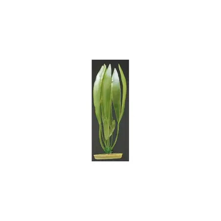 Planta Decorativa 20cm Amazon Sword para Aquário Marina Marina