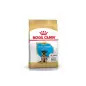 Ração Seca para Pastor Alemão Puppy 12Kg Royal Canin