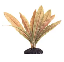 Decoraçao Planta Echinodorus vermelha 10cm - 1040350159