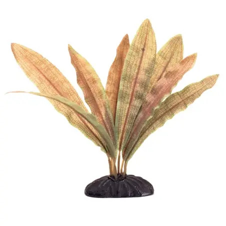 Planta Decorativa Echinodorus Vermelha 10cm para Aquário Marina Marina