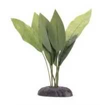 Decoraçao Planta Echinodorus 15cm - 1040350160