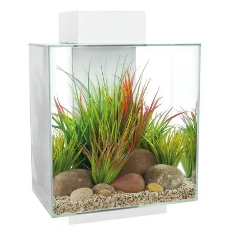 Aquário Edge Conjunto 46lt Branco com Led Fluval Fluval