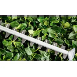 Corta Sebes UniversalHedgeCut 50 06008C0501 Bosch Bosch
