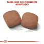 Ração Seca para Cão Giant Adult 15kg Royal Canin