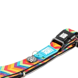 Coleira com ID Tag "Summertime" - XS #4 - 1040080697