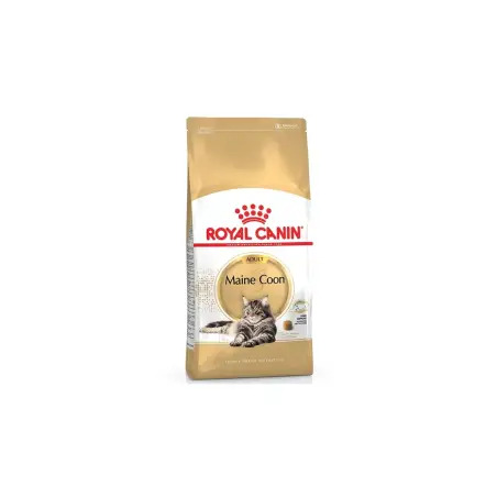 Ração Seca para Gato Maine Coon 4Kg Royal Canin RoyalCanin