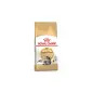 Ração Seca para Gato Maine Coon 4Kg Royal Canin Ração Seca para Gato Maine Coon 4Kg Royal Canin