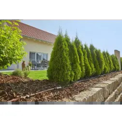 Kit de Rega Gota-a-Gota 13013-20 Gardena Gardena