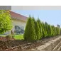 Kit de Rega Gota-a-Gota 13013-20 Gardena Kit de Rega Gota-a-Gota 13013-20 Gardena
