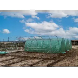 Estufa Agricola 6x3x2,3mt HLT36 Agriestufas Agriestufas