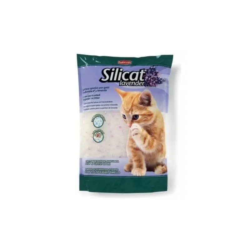 Areia Litter para Gato Lavander 5lt Padovan Areia Litter para Gato Lavander 5lt Padovan