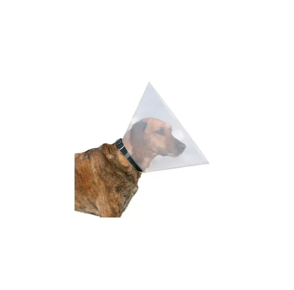 Cone Veterinario para Cães Nº2