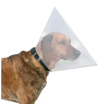 Cone Veterinario para Cães Nº2 Trixie