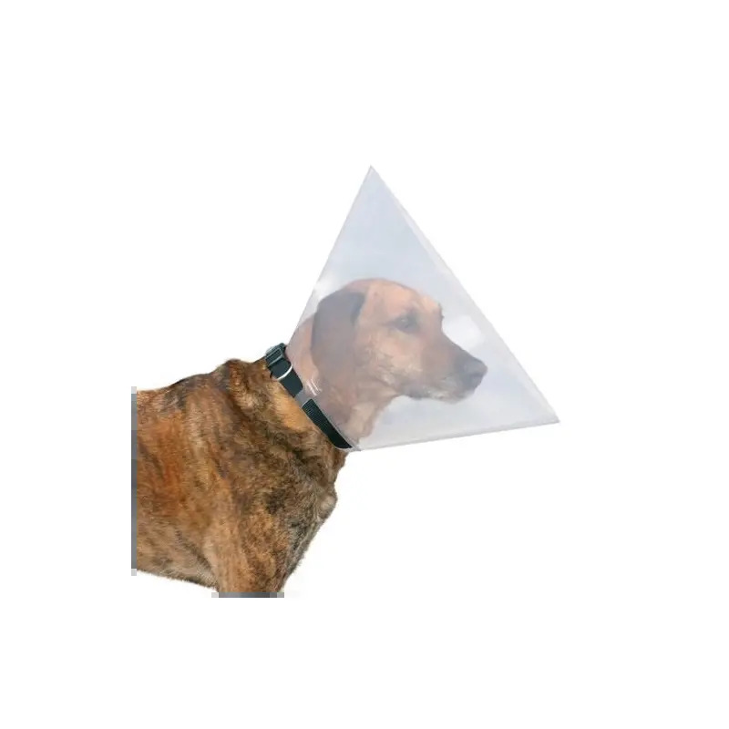 Cone Veterinario para Cães Nº3