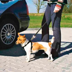 Peitoral De Segurança P/ Automovel - Tam. Xs . Trixie Trixie