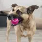 Bola De Tenis - Ø 6 Cm Trixie