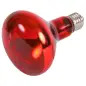 Reptiland Infrared Heat Spot-lamp, Red - 150w Trixie