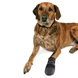 Walker - Botas Em Neoprene P/ Caes - Tam. Xl preto Trixie Trixie